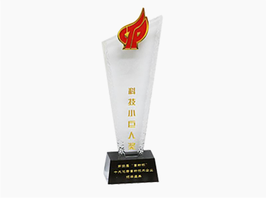 武汉中盛起元科技发展有限公司